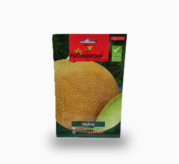Melon