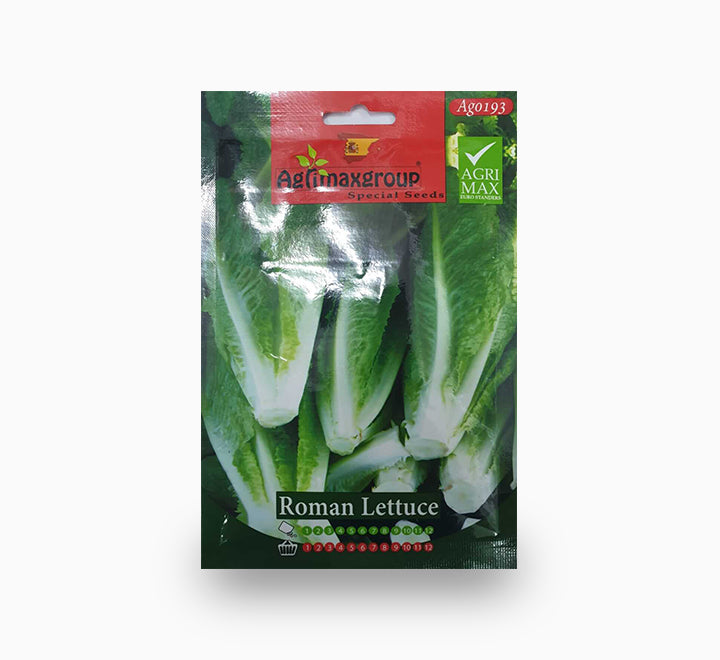 Roman Lettuce Agrimax Seeds