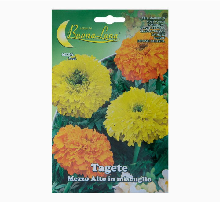 Tagete Mezzo Alto Mix Seeds