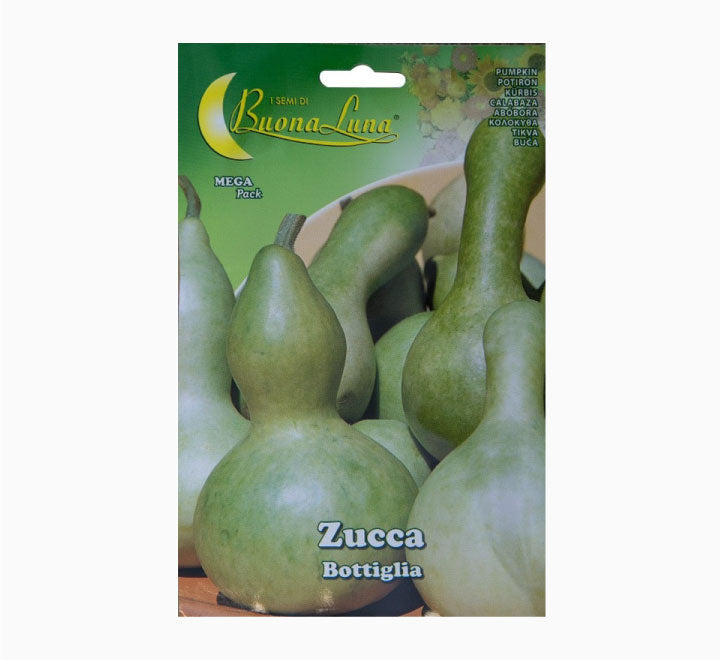 Zucca Bottiglia Mega Pack