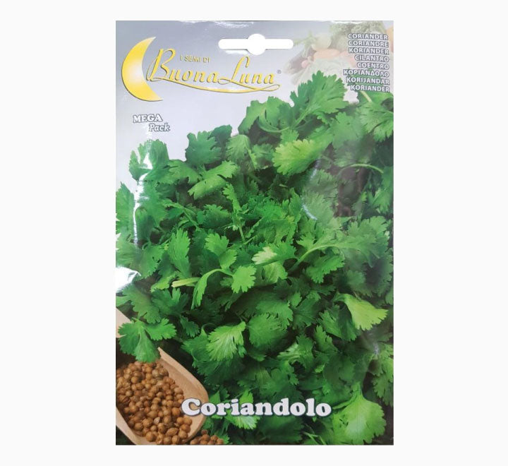 Coriandolo Mega Pack