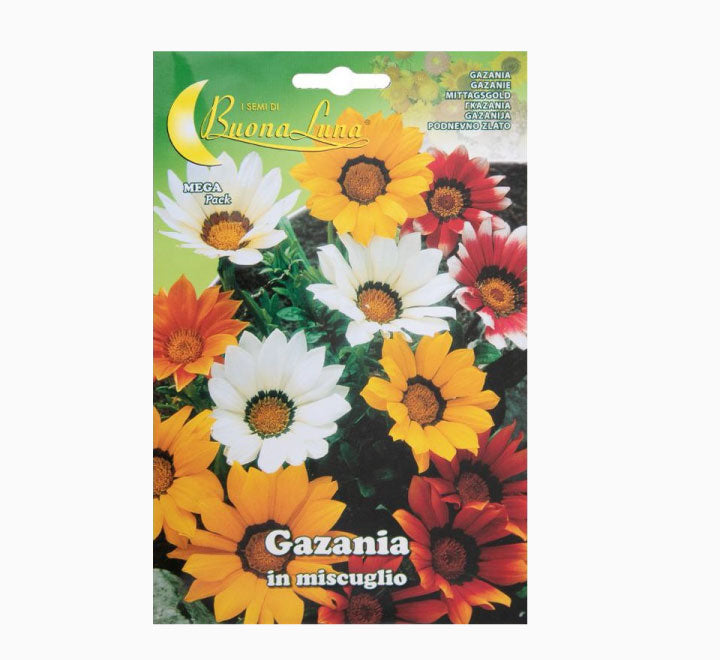 Gazania Mix Mega Pack