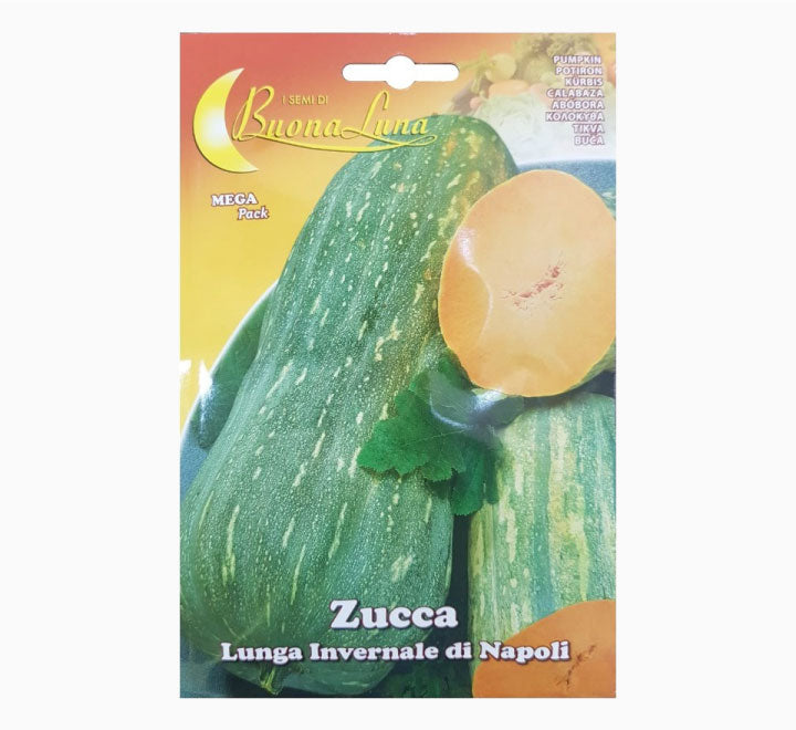 Zucca Lunga Di Napoli Mega Pack