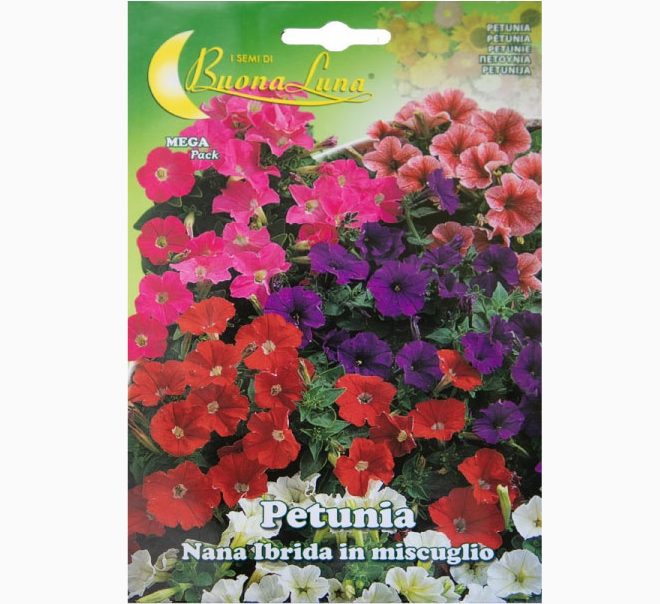 Petunia Ibrida Nana Mix Flowers Seeds