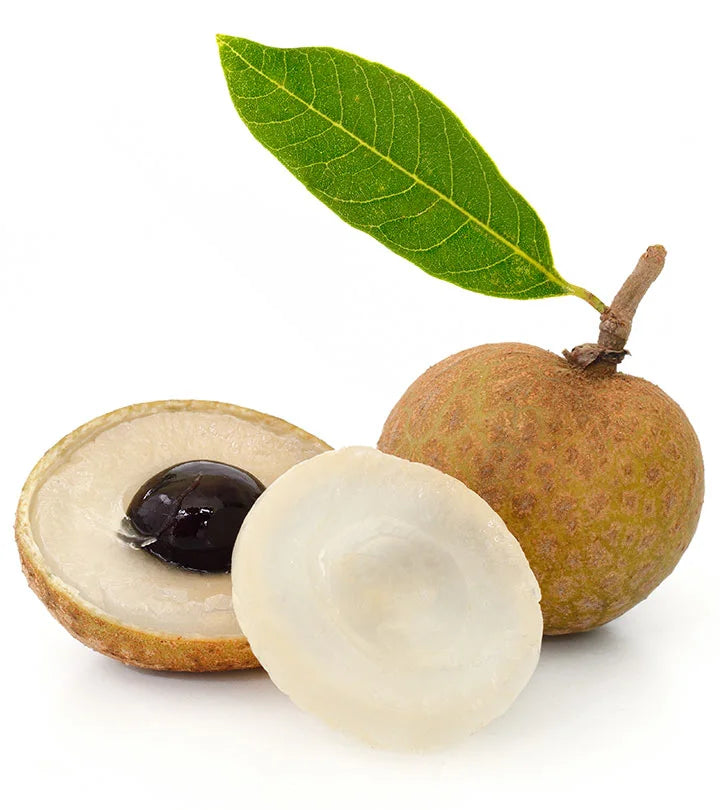 Longan Fruit 1.2-1.5m