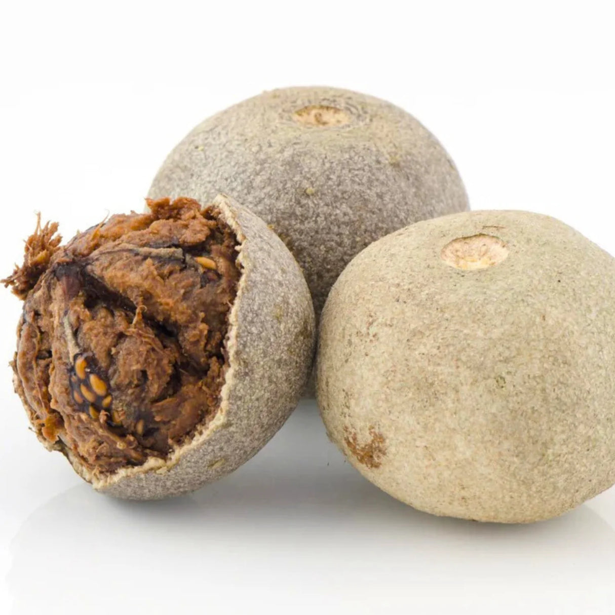 Wood Apple 1.5-2.0m