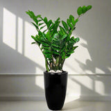 Artificial Areca Palm