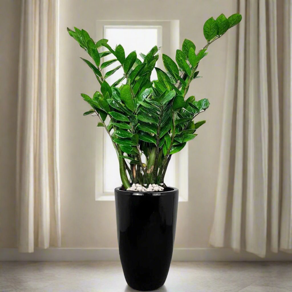Artificial Areca Palm