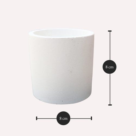 Round Tulip Pot Dimensions: 15 cm x 12 cm (Diameter x Height)