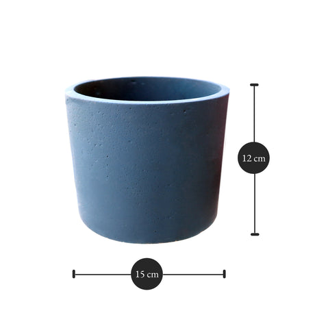 Round Tulip Pot Dimensions: 15 cm x 12 cm (Diameter x Height)