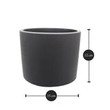 Round Tulip Pot Dimensions: 15 cm x 12 cm (Diameter x Height)