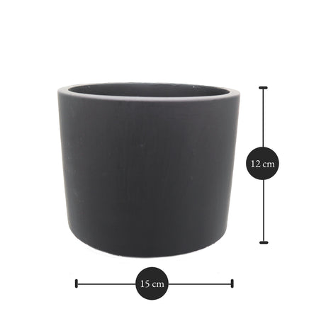Round Tulip Pot Dimensions: 15 cm x 12 cm (Diameter x Height)