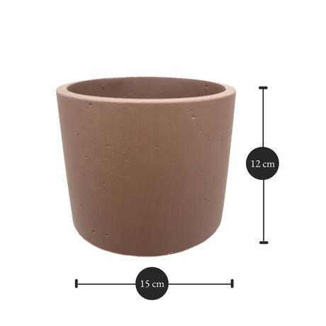 Round Tulip Pot Dimensions: 15 cm x 12 cm (Diameter x Height)