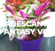 Tradescantia nanouk or Fantasy Venice