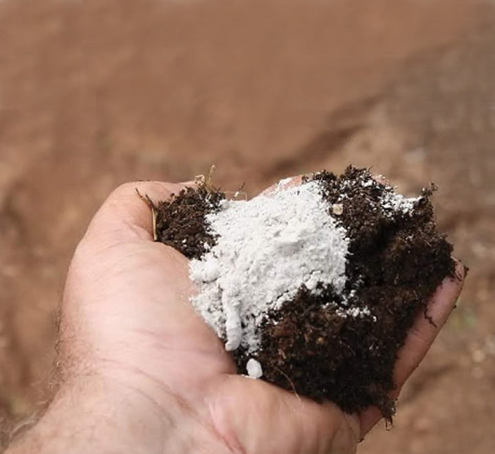 Agriculture Gypsum