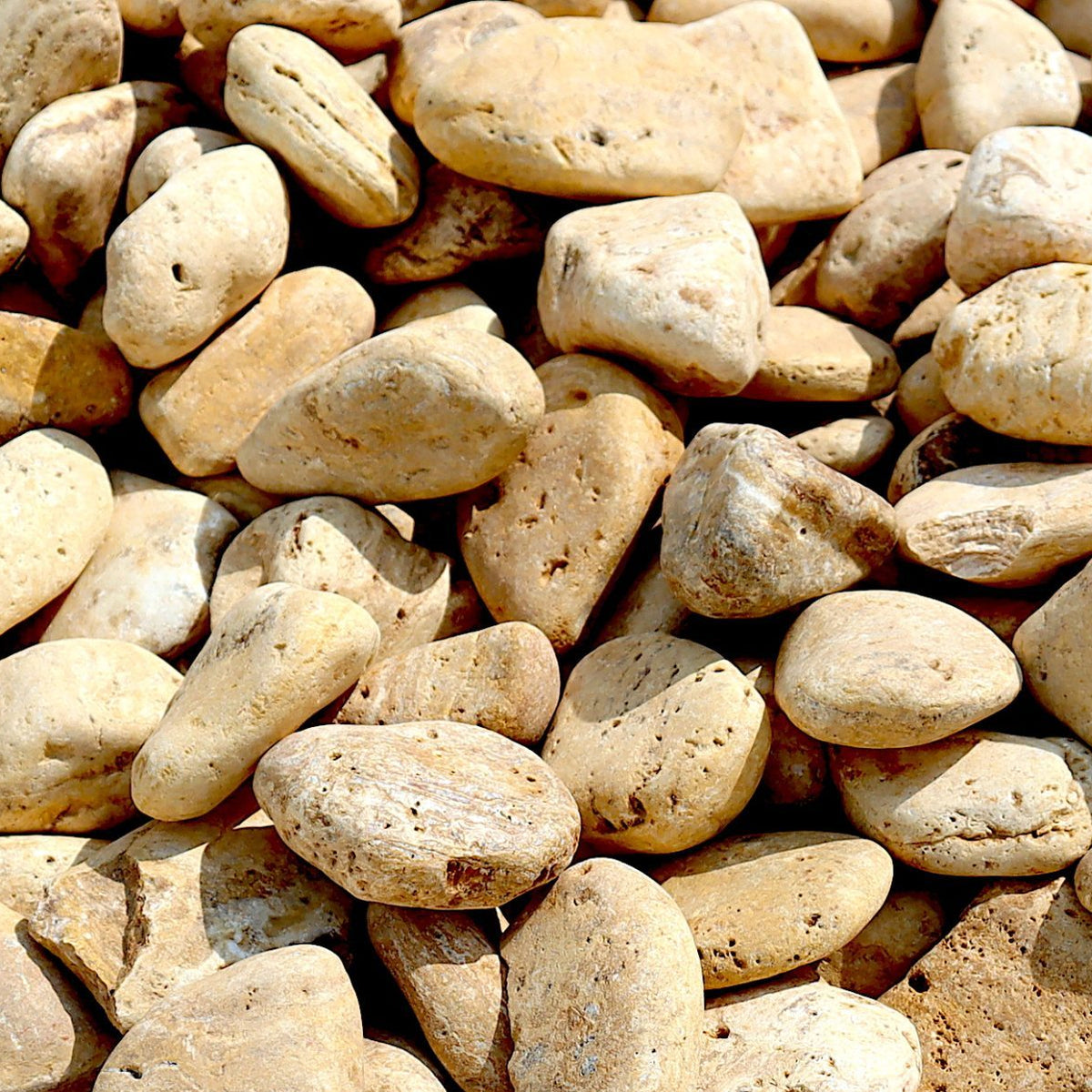 Forest Yellow Rocks Yellow Forest River Stone