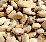 Yellow Forest River Stone "Natural Garden Material"
