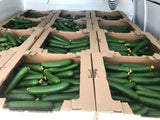 GreenHouse Construction for Organic or Hydroponic Crops