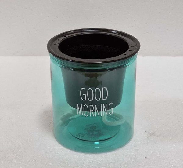 Self Watering Indoor Transparent Pot