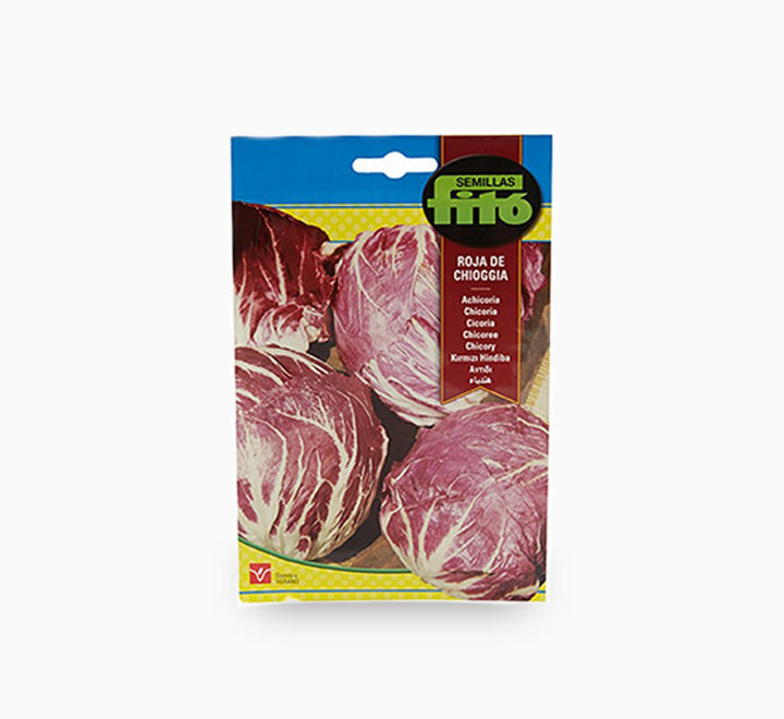 Achicoria Roja de Chioggia Seeds - Fito