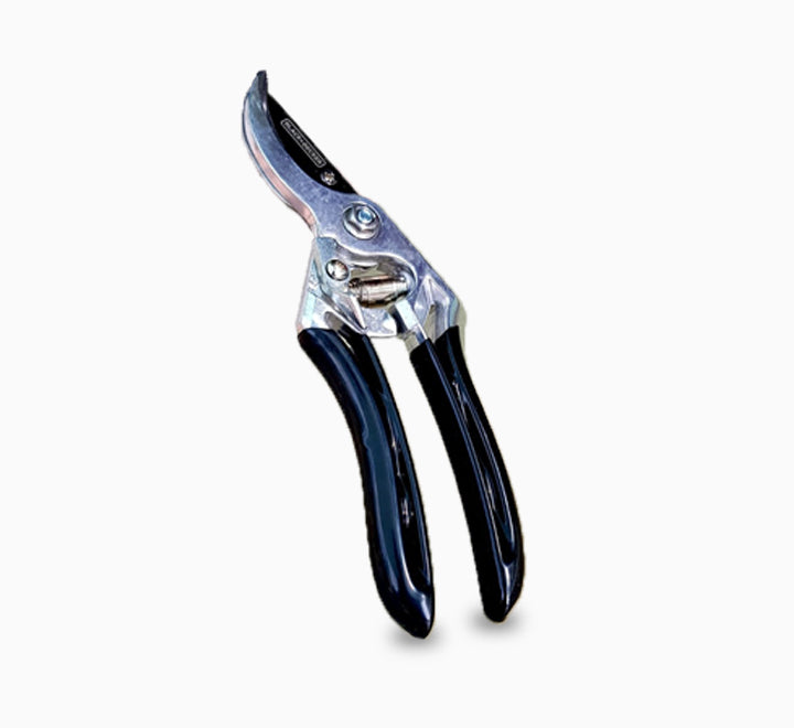 Pruning Shear