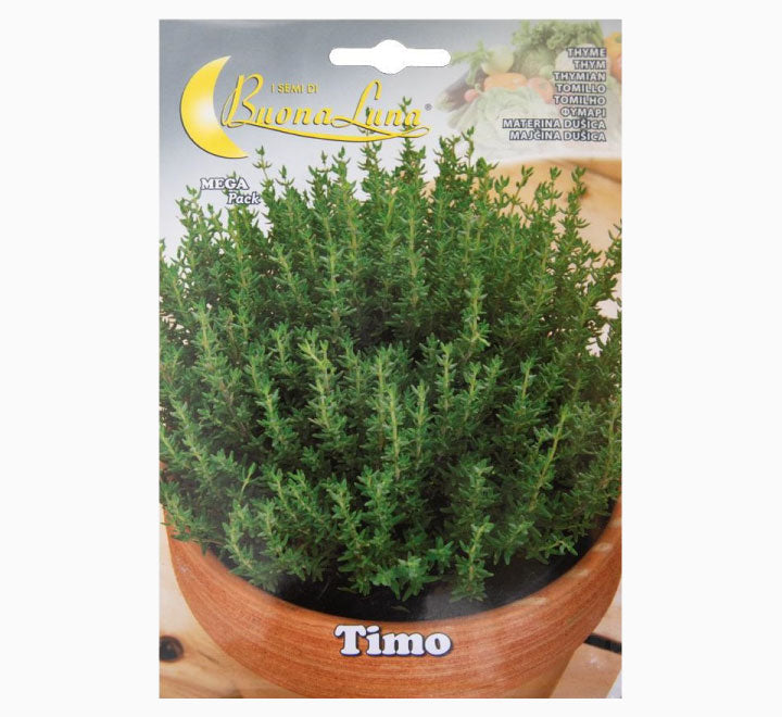Timo Seeds